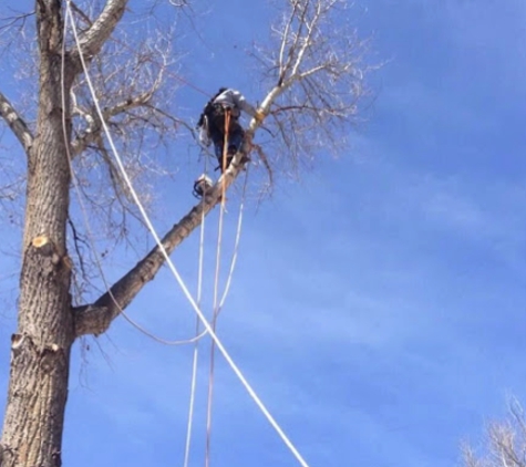 Wilson's Tree Service - Red River, NM