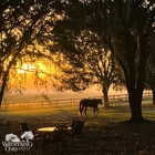 Whispering Oaks Miniature Ranch