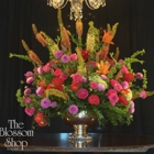 Town & Country Florist