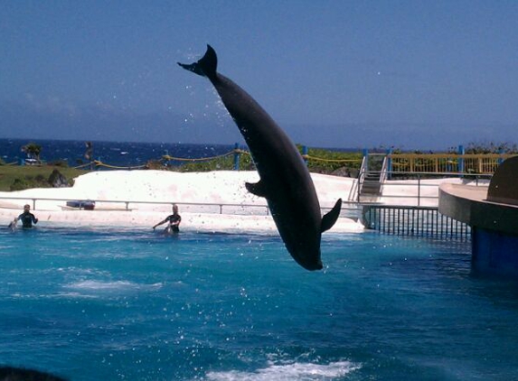 Sea Life Park Hawaii - Waimanalo, HI