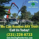 Deering Tree Service - Arborists