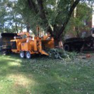 Manor Tree Service - Glen Arm, MD. Tree Service