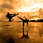 Champion's Martial Arts