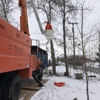 Apple Valley Tree Service gallery