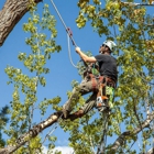 KD Tree Service Erie Pa