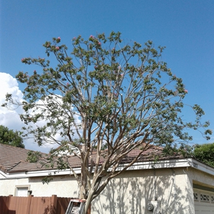 J.E.M Tree Service - Rancho Cucamonga, CA