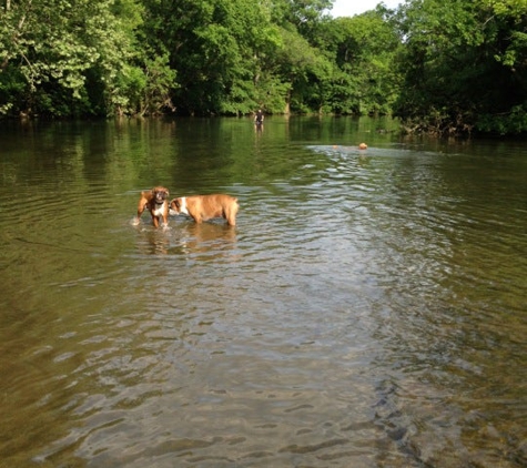 Dog Bark Park - Murfreesboro, TN