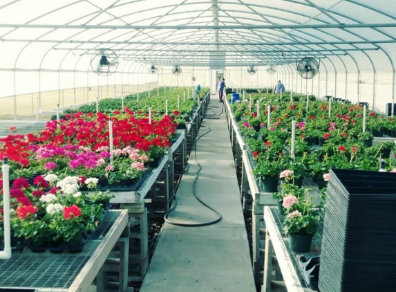 Florida Contract Growers - Bushnell, FL