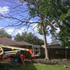 Wood slingers tree service gallery