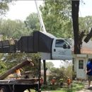 Gulf Coast Tree Specialists - Landscape Contractors
