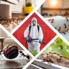 Impressive Exterminating Pest Control