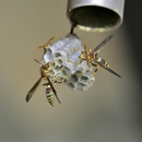 Ninefold Pest - Pest Control Equipment & Supplies