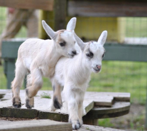 Aw Shucks Farms - Monroe, NC