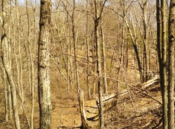 F. Gilbert Hills State forest - Foxborough, MA