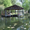 Lake Seminole Rentals gallery