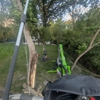 Trees by Forrest | Tree Removal Company in Plymouth, MN gallery
