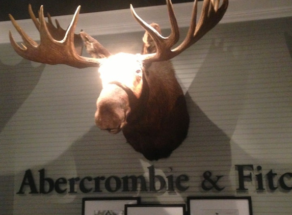 Abercrombie & Fitch - Friendswood, TX