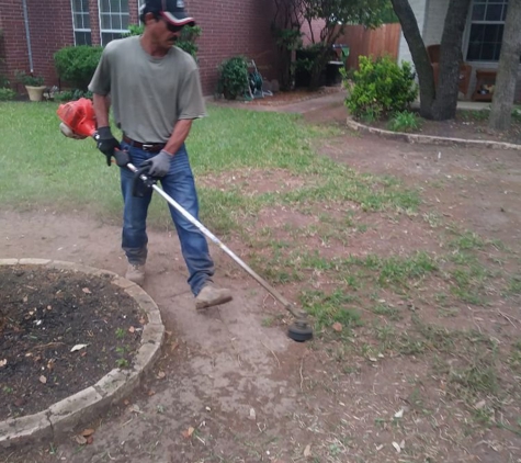 Adam's Tree Services and Landscaping - Austin, TX