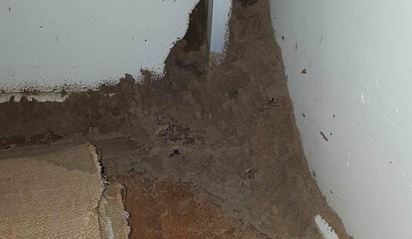 Picton Pest Control