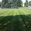 DD Lawn & Tree gallery