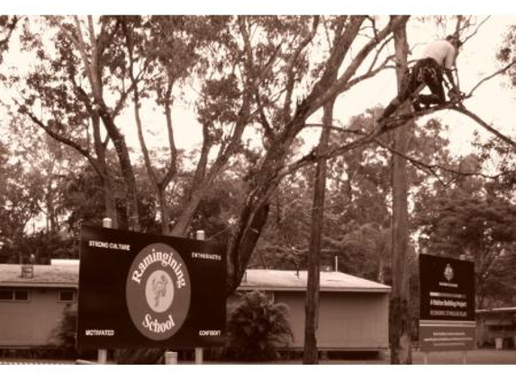 Remote Area Tree Services - Virginia, NT