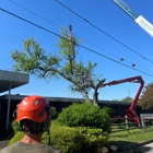 A Atlantic Tree Service