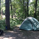 D.H. Day Campground - Campgrounds & Recreational Vehicle Parks