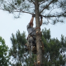 Hanson Tree Care, LLC - Tree Service