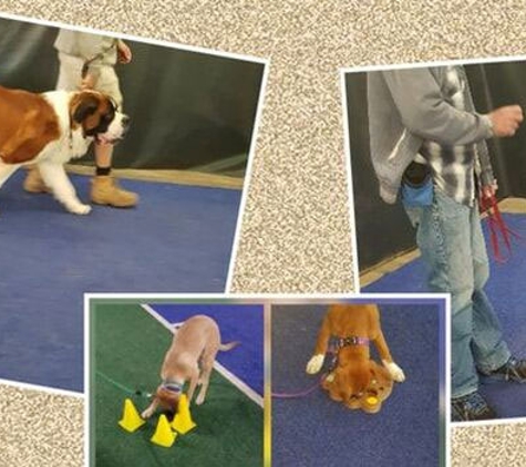 Lana's Dog Training - North Bendigo, VIC