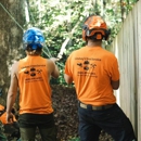 Lindsey's Tree Service - Tree Service