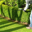 Adobe Hills All Season Lawn & Yard  Care - Gardeners