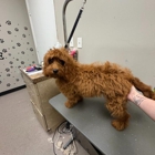 Unleashed Pet Resort