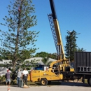 ABC Tree Services - Tree Service