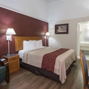 Red Roof Inn - Motels