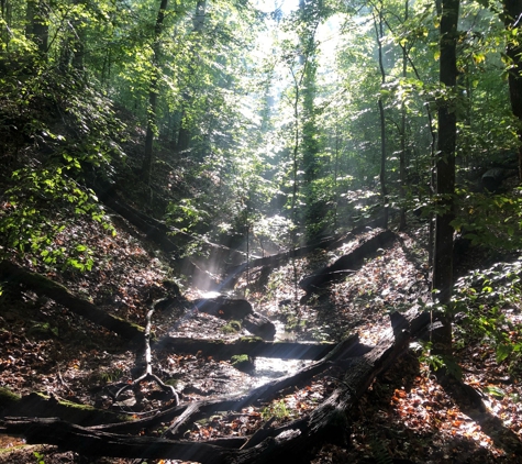 Prince William Forest Park - Triangle, VA