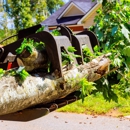 Cut And Run Tree Service - Tree Service