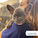 Fetch Specialty & Emergency Veterinary Centers - Greenville, SC - Veterinarian Emergency Services