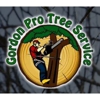 Gordon Pro Tree Service gallery