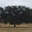 Kenneth Hahn State Recreation Area - Parks