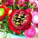 Kati Mac Floral Designs - Florists