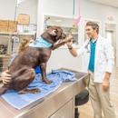 Paws In Paradise Animal Hospital - Veterinarians