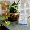 Frederick Pediatric Dentistry gallery