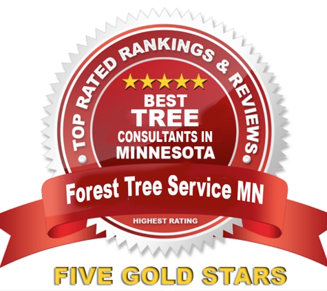 Forest Tree Service MN - Brainerd, MN