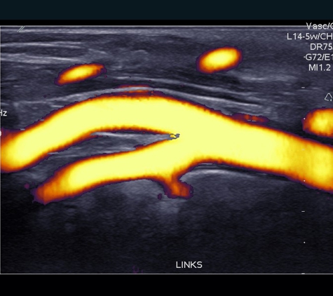 BIOS 4D IMAGING LLC - Austin, TX