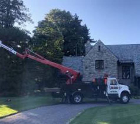 East Coast Tree Service LLC - Reading, MA