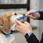 West Concord Animal Clinic