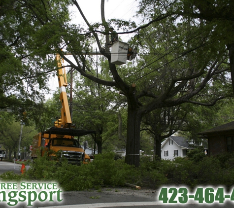 Tree Service Kingsport - Kingsport, TN