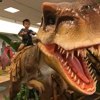 Wonder of Dinosaurs gallery