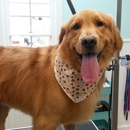 Coastal Canine Grooming & Boutique - Dog & Cat Grooming & Supplies