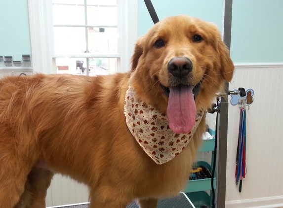 Coastal Canine Grooming & Boutique - Milford, CT